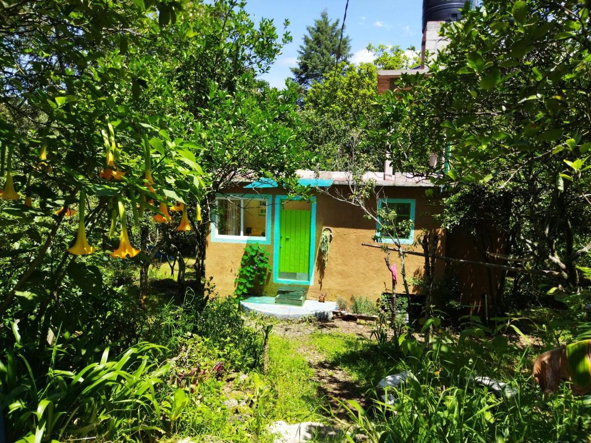 Casa Ecologica Leilighet Tepoztlán Eksteriør bilde