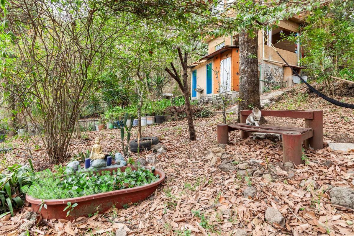 Casa Ecologica Leilighet Tepoztlán Eksteriør bilde